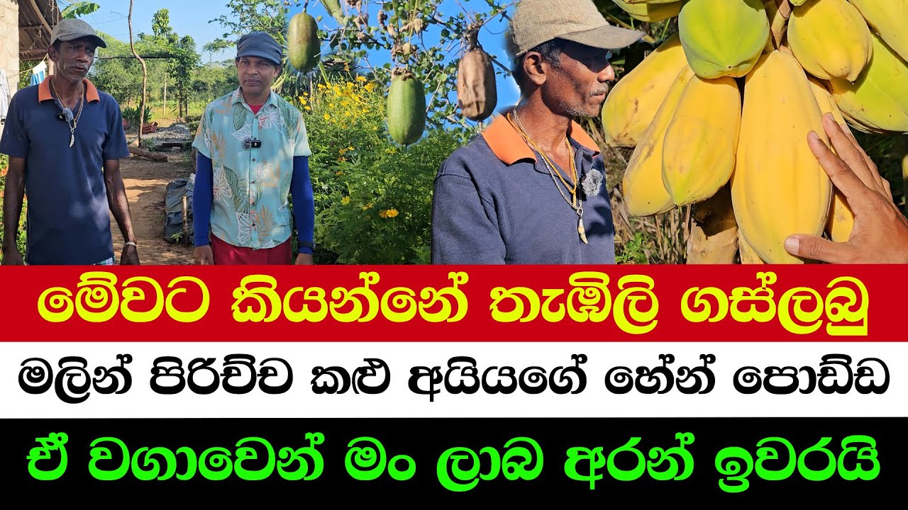 FIRST TIME SEEING THIS! | FLOWER PARADISE HOME