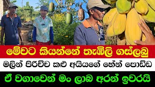 FIRST TIME SEEING THIS! | FLOWER PARADISE HOME