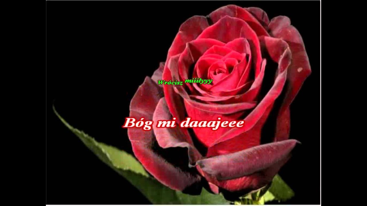 Kayah & Bregovic   Kiedys bylam roza