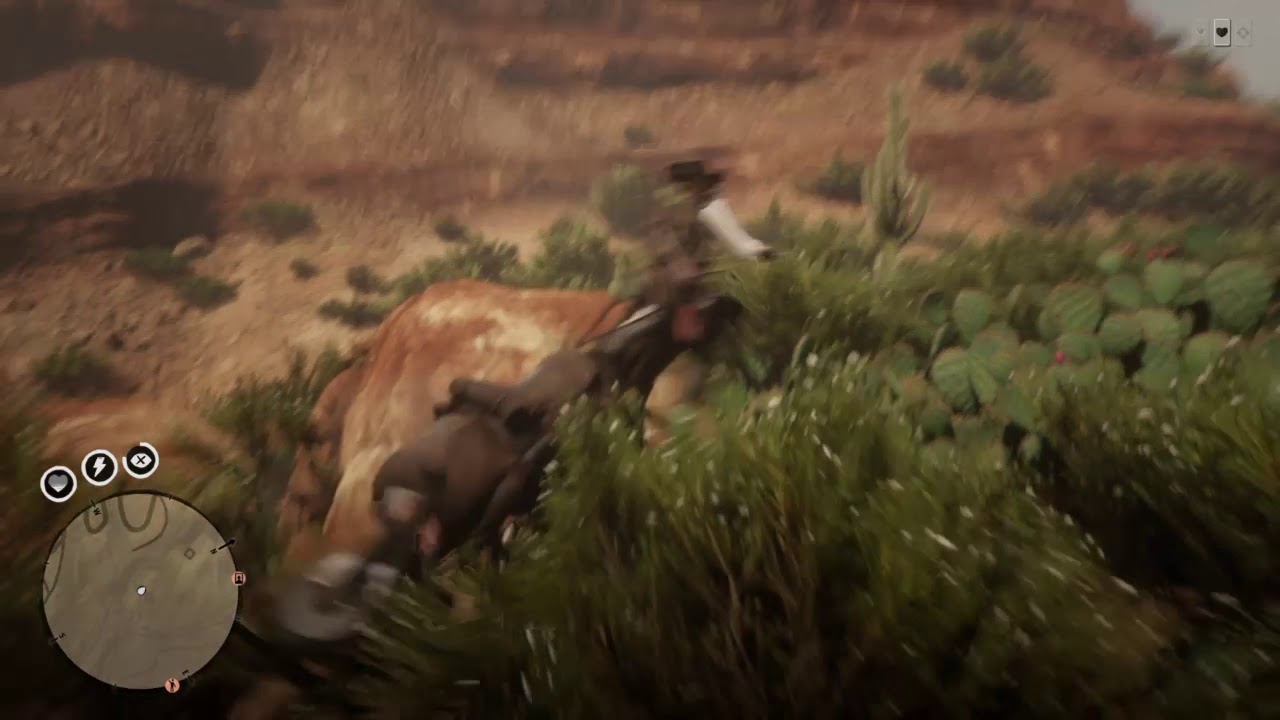 Red Dead Redemption 2 Cactus diving... - YouTube