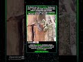 GECKO ATTACKS A SNAKE FOR THIS