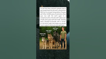 Dire Wolf Brought Back After 12,500 Years