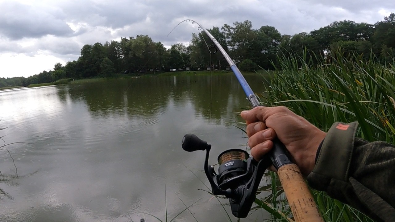 Przewiozły mnie po trzcinach !!! Musiałem iść za rybą, bo poszła gdzie chciała !!!
