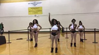 Bowie State DIVAS- Can We Talk 2016✨