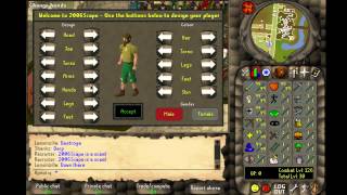 Stability Test Guide (Weapon Spawning and More) | 2006Scape - Janks