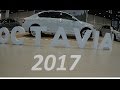 Новая Шкода Октавия 2017. ЗА ЧТО такие деньги? мини обзор