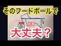 チワワが快適な食事をする為に必要な高さを勉強してみました【犬】