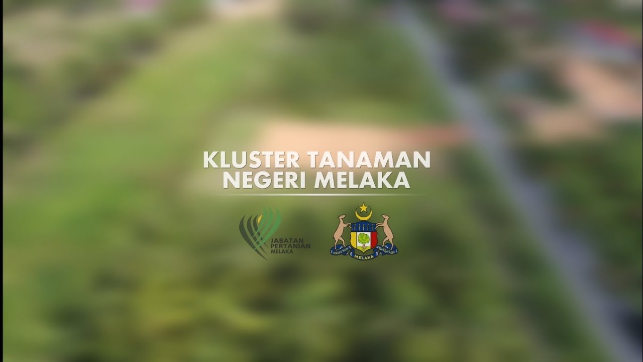 Kluster Tanaman Negeri Melaka Jabatan Pertanian Negeri Melaka Youtube
