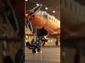 #cat #funnycats #funnyanimals #freedom #viral #work #pilot #luxury #adorable #rock #music #explore