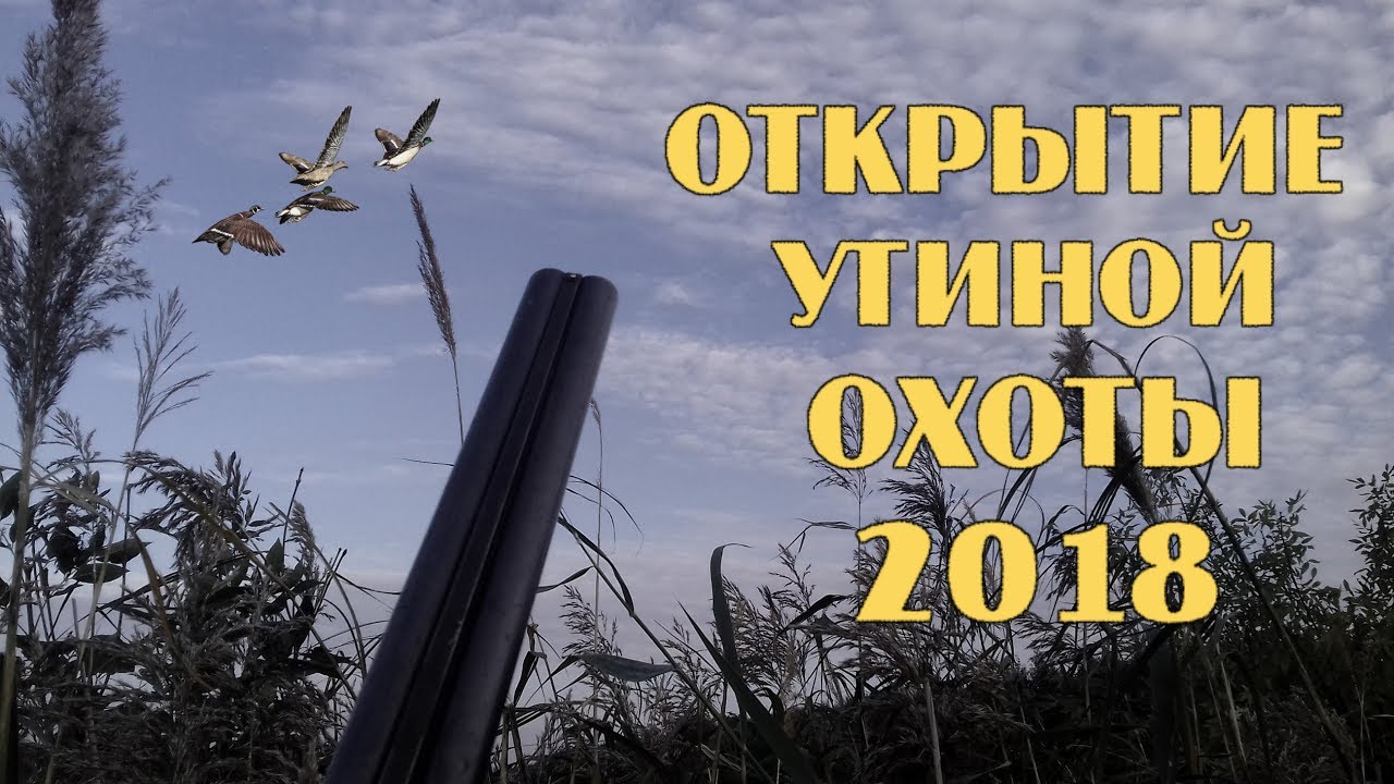 #утинаяохота #duckhunting Открытие утиной охоты 2018.