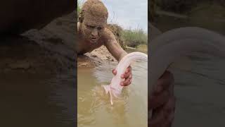 One big Dolphin Fish Hunting By Making a Fish Trap
