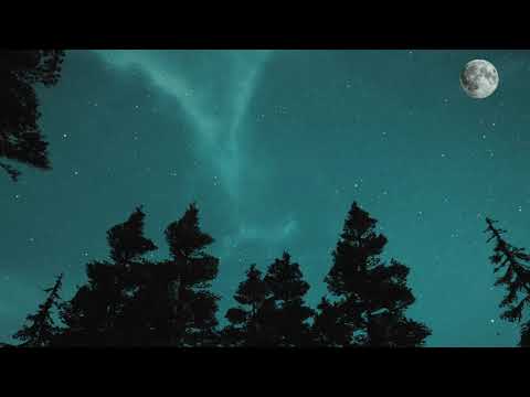 4 hours Nature Sounds of nature Night forest, moon and sky. Outdoor sleep and stress relief - Смотреть видео с Ютуба без ограничений