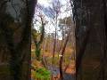 Platy Valley in Paphos area. The most stunning piece of a forest in Cyprus.