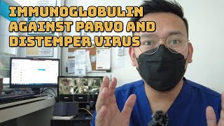 FIGHTING AGAINST PARVO & DISTEMPER by Doc Gelo TV 30,726 views 2 years ago 12 minutes, 59 seconds