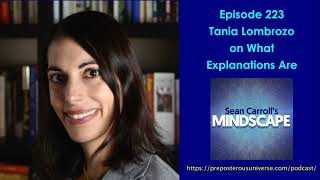 Mindscape 223 | Tania Lombrozo on What Explanations Are