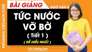 Tức nước vỡ bờ (Tiết 1) - Ngữ văn 8 - Cô Trương San (DỄ HIỂU NHẤT)