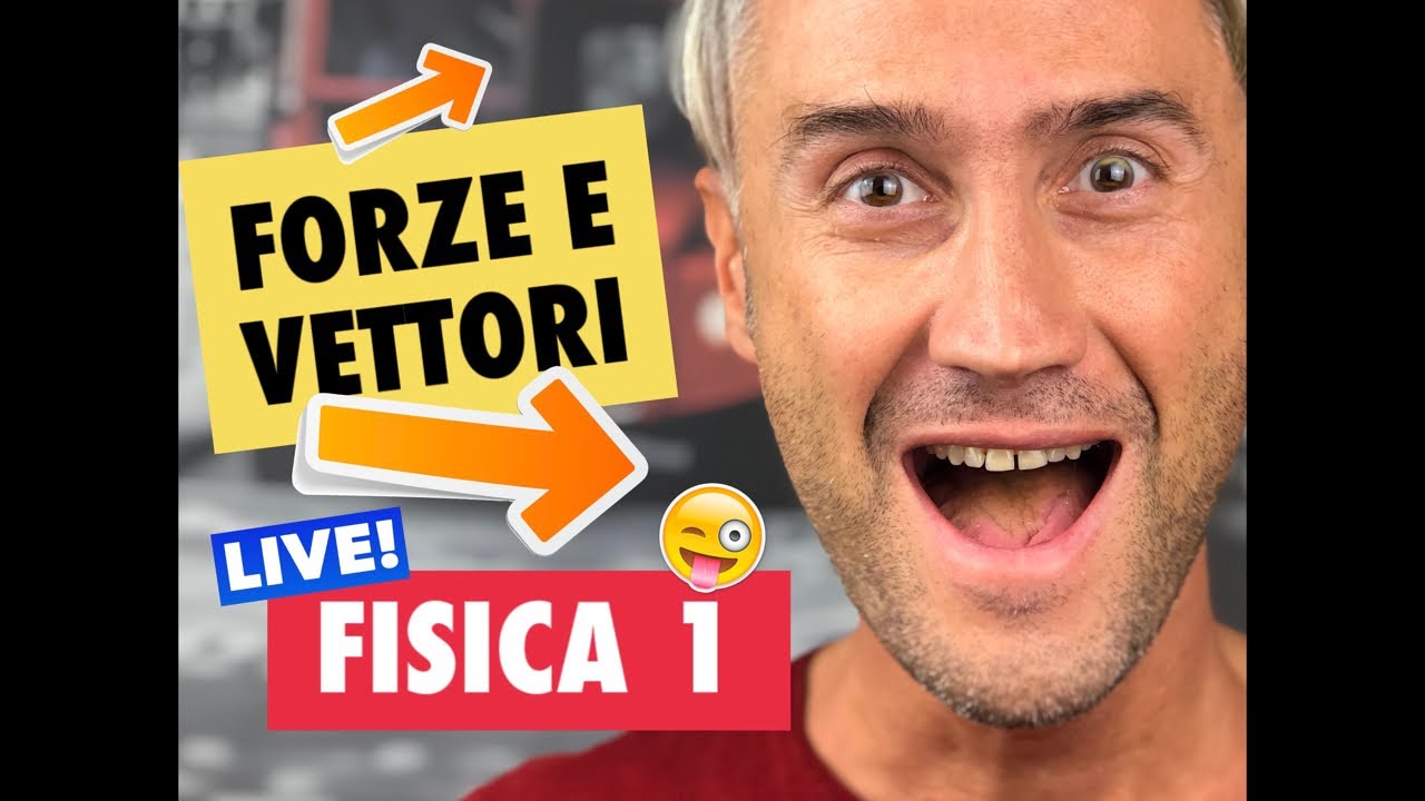 LEZIONE di FISICA! vettore FORZA, fisica forze, forze in fisica, dinamometro come funziona
