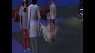 Sims 2. Wolf tries and bites my feet off