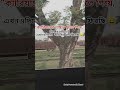 ক্যারিয়ার 😅💔#viral #fyp #foryou #trending #viralvideo #bangla #explorepage #reels #shorts