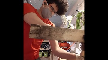 CLC Capstone Project 1.2