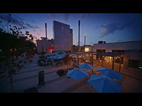 N.I. (Natural Intelligence)