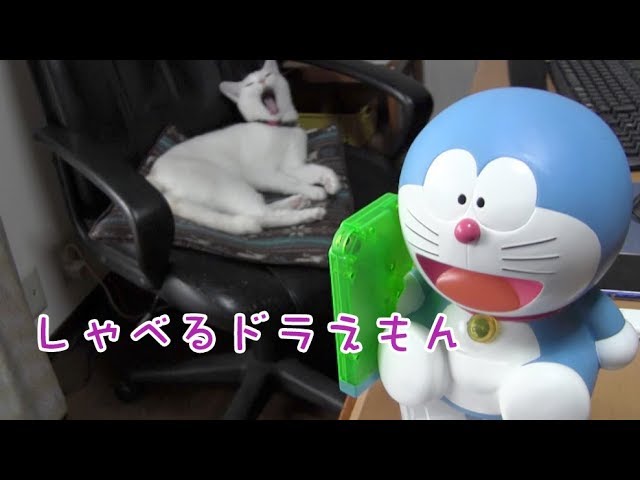 Buying a Talking Doraemon 2018.9.14 - YouTube