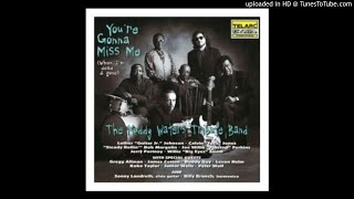 Video thumbnail of "The Muddy Waters Tribute Band - You're Gonna Miss Me (When I'm dead & gone) - 13.- Mean Mistreater"