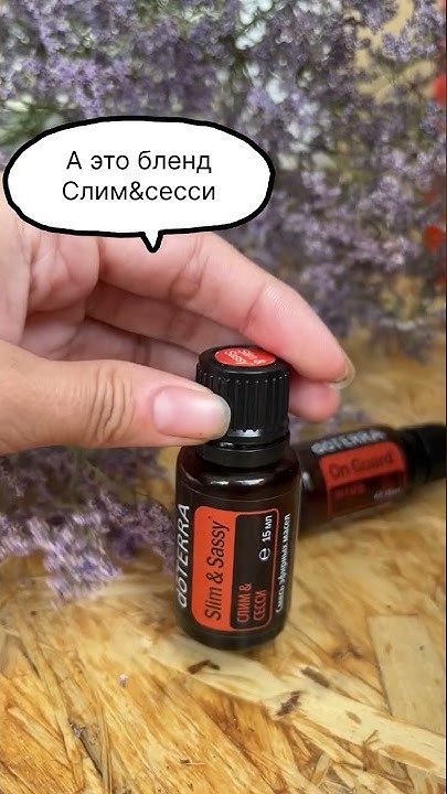 Онгард против слим&сесси - YouTube