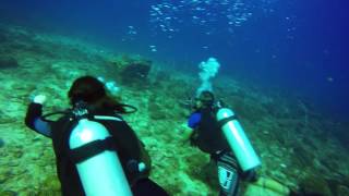 Redang Diving 2Nd Day Black Coral & Mak Cantik 28 July 2017