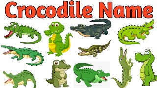 Largest Crocodile Species | सबसे बड़े मगरमच्छ | Facts About Some Crocodiles | The Kituu World ||