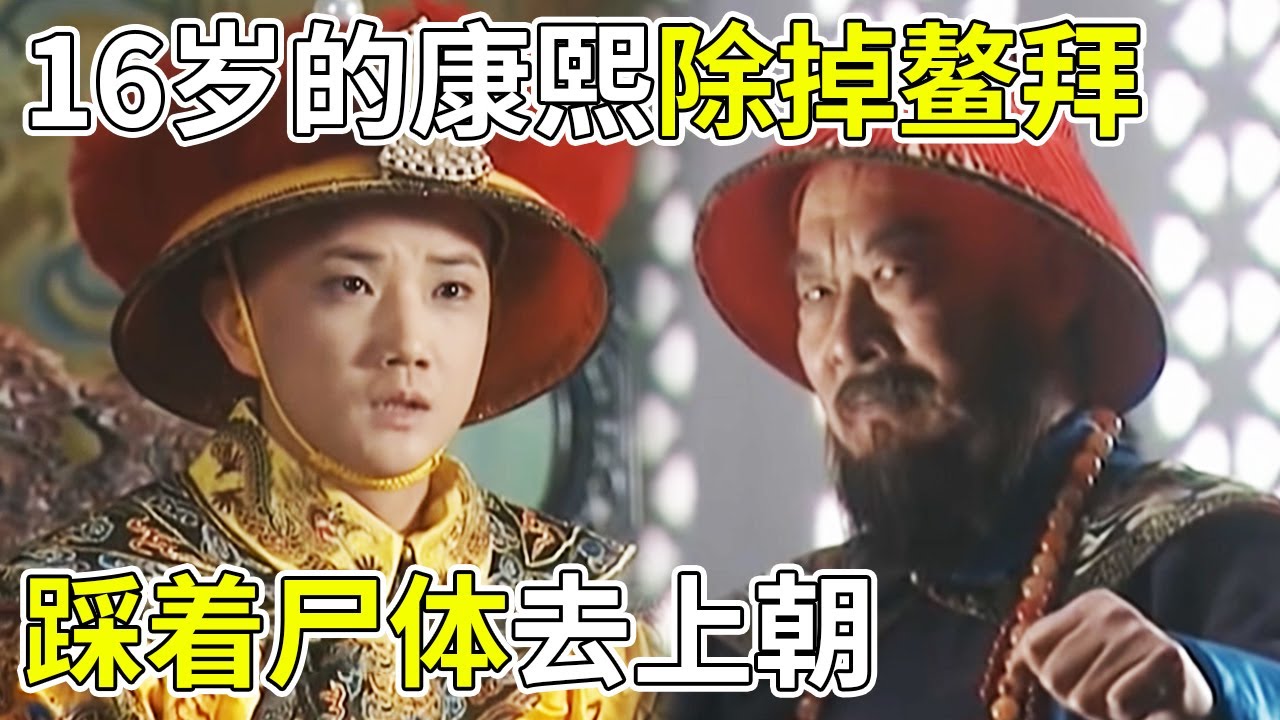 朝堂风云与热血青春的交织