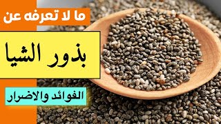 بذور الشيا - زبدة الشيا وبذور الشيا - فوائد واضرار بذور الشيا