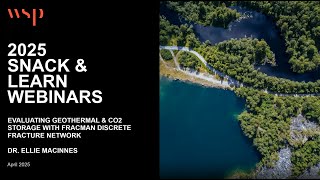 Evaluating Geothermal & CO2 Storage with FracMan DFN