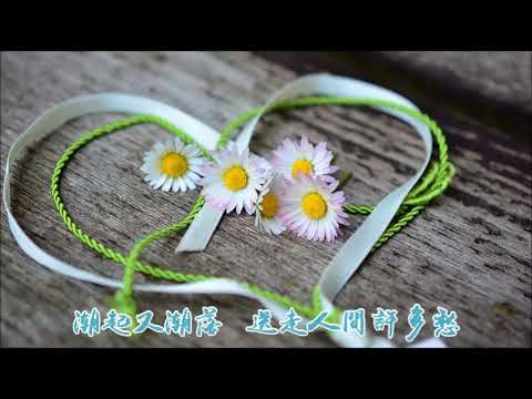 【花心】周华健 - 雨田翻唱 ( 张碧晨版伴奏)