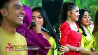TIARA || ALL ARTIST NEW PALLAPA || DANGDUT KOPLO HOT #panggungkoplo