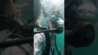 SCUBA DIVING IN GOA 🤿 #goa