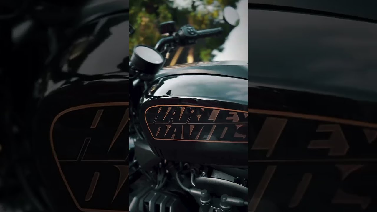 Harley Davidson Sportster Sportsters