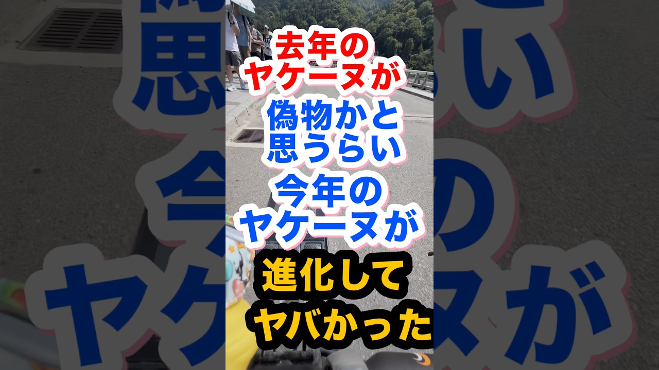 わんのすけです。 YouTube