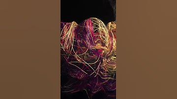 Houdini Curve Advection