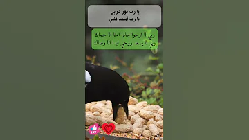 ربي لا ارجوا ملاذا امنا الا حماك 