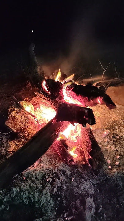 Camping #Xanbulan #light #music #electronicmusic