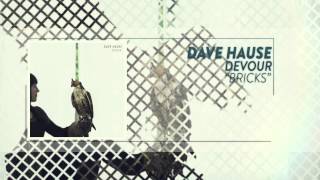 Vignette de la vidéo "Dave Hause - Bricks"