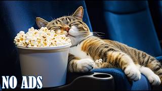 24 Hours of Calming Cats Music for Dogs Home Alone -Relaxing Video for Stress Relief & Better Sleepπ