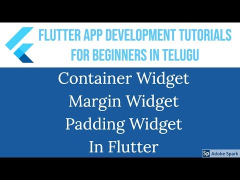 #18 Container Widget,