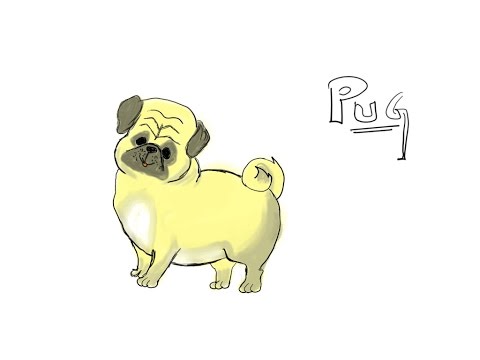 fun2draw pug how to draw a pug funnydog tv fun2draw pug how to draw a pug funnydog tv
