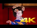 The Maiko Of Somaro Teahouse Yamagata 舞妓茶屋 雛蔵書廊 相馬樓 4K Ultra HD The Maiko Of Somaro Teahouse Yamagata 舞妓茶屋 雛蔵書廊 相馬樓 4K Ultra HD