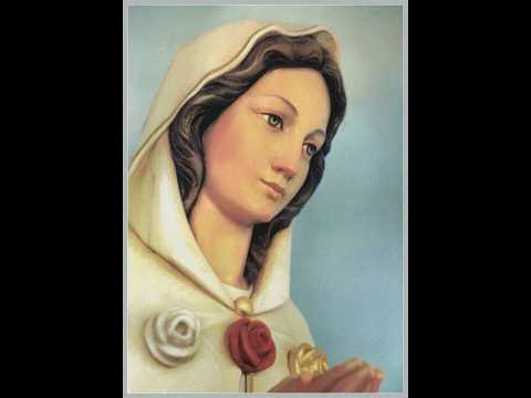What the three roses of the Virgin of the Mystical Rose mean