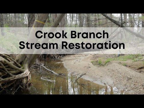 Crook Branch Stream Restoration at Mantua Elementary School