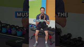 Only 4 Exercises For Your Body To Change After 50 (Proven to Work Fast!)