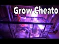 Growing Cheato Algae ( Day 1 ) SUMP FILTRATION SYSTEM